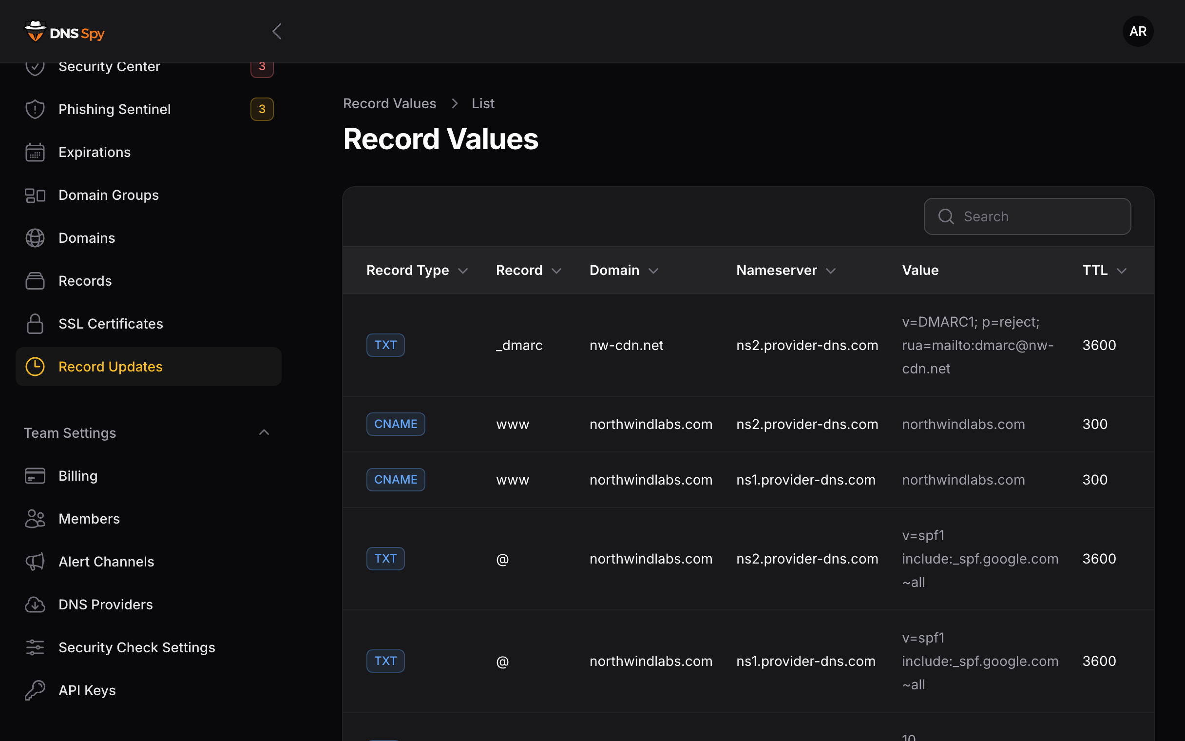 DNS Spy record values view showing DNS records with values, nameservers, and TTLs